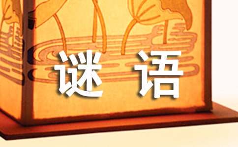 篮球训练的收获及体会_1